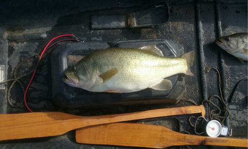Lowry's Fishing Farm 30